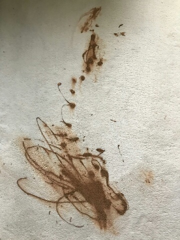 Liquid foundation stain1.jpeg