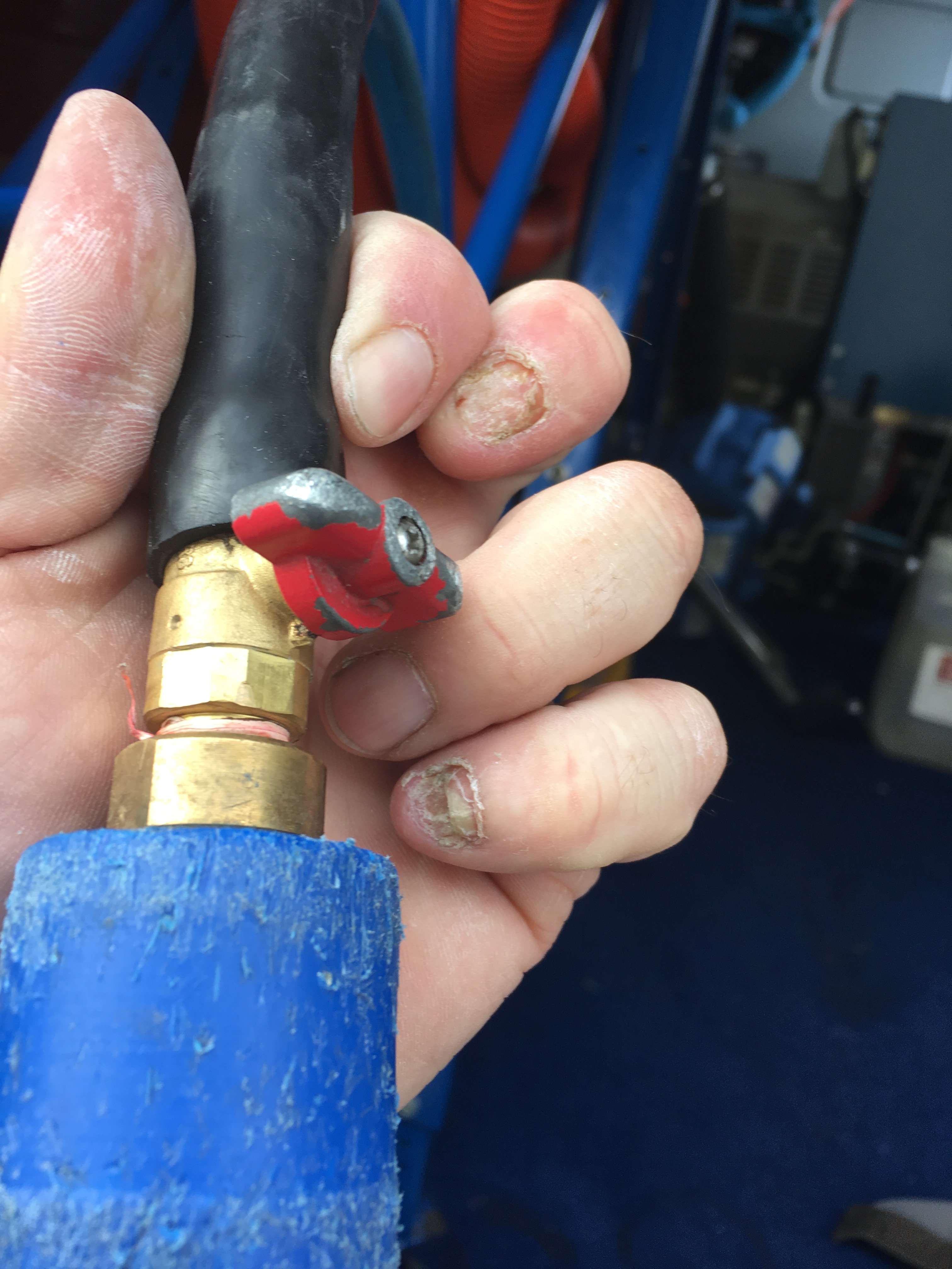 bb8a0ff2-27f7-4332-9491-a2ddd18293c3-jpeg.77896